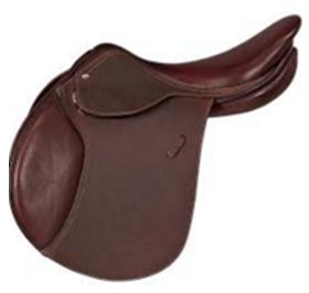 Saddle Saddle